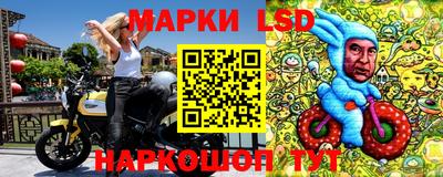 стаф Бузулук