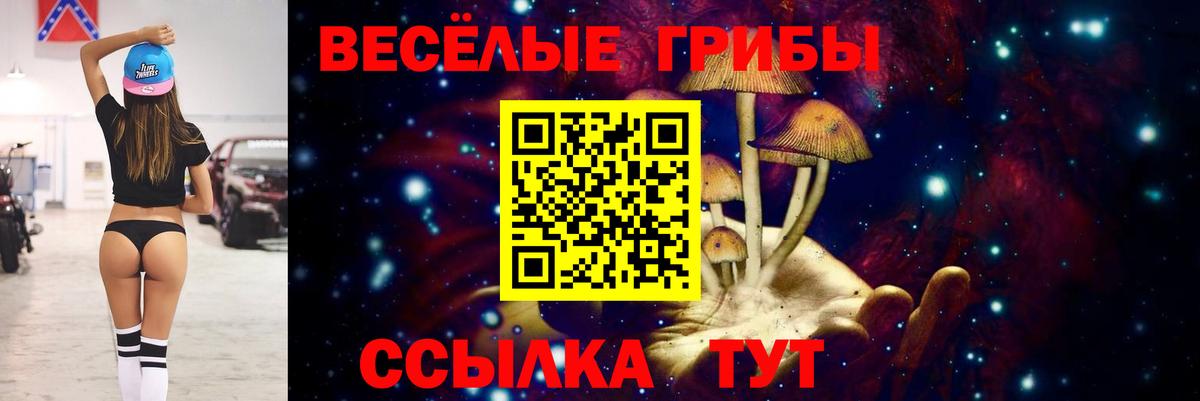 Одинцово  Галлюциногенные грибы Psilocybine cubensis  Вход с VPN 